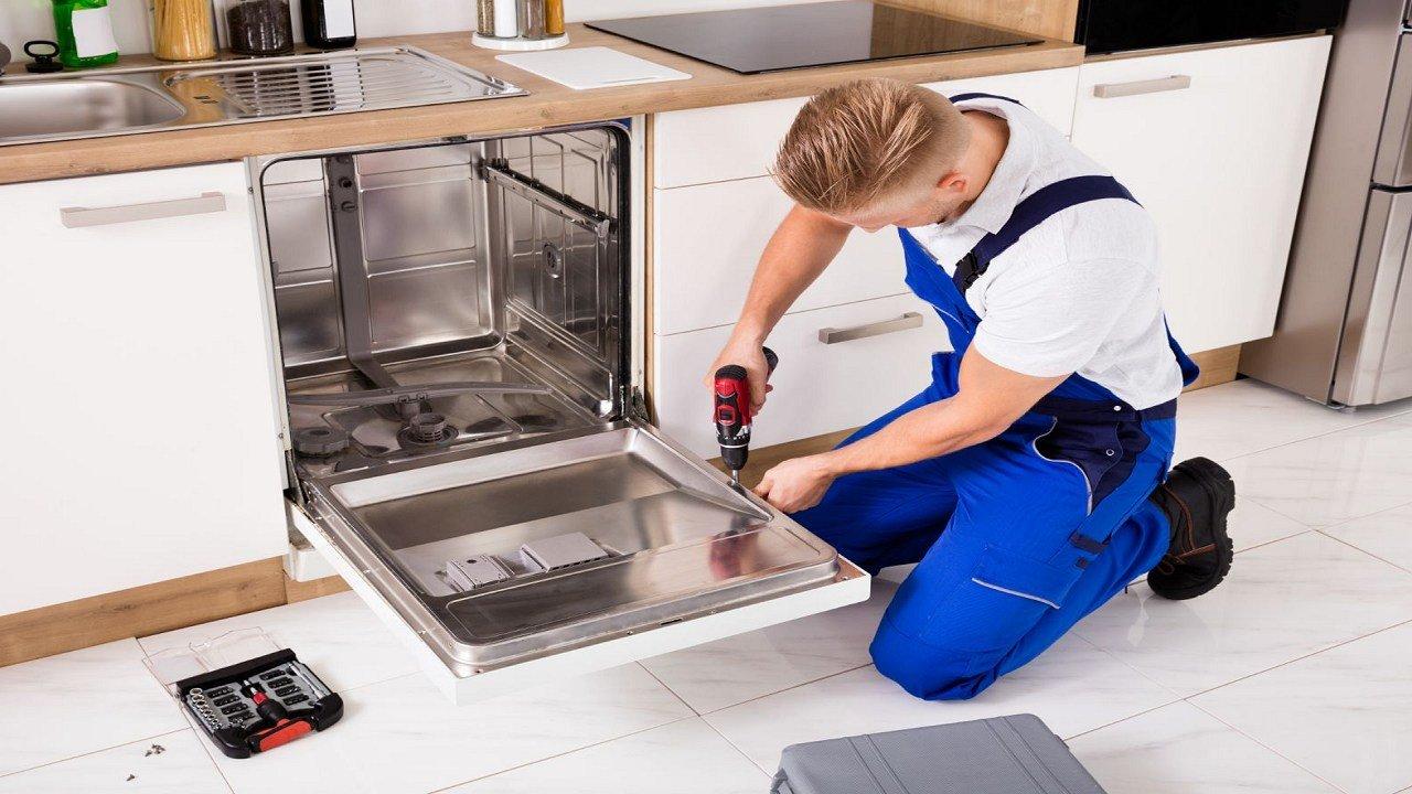 How do I clean the gasket on my dishwasher door?