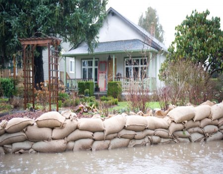 fema flood insurance map