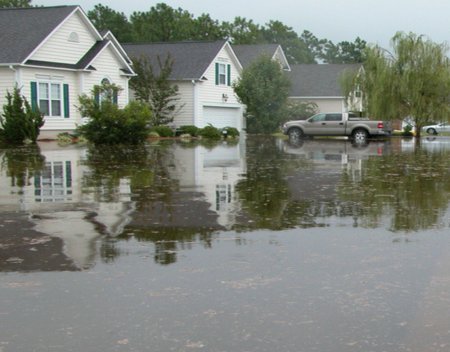 flood insurance features