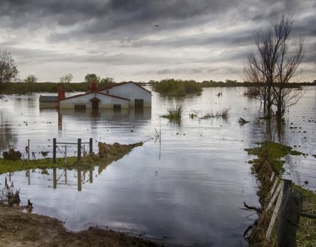 flood zone precautions