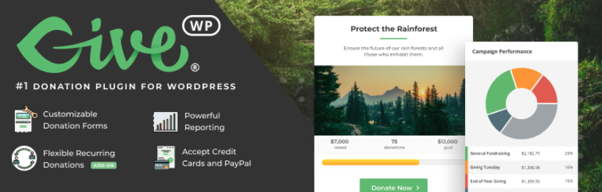 Give Back with These WordPress Fundraising Plugins