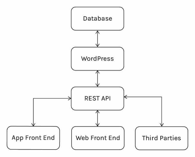 Headless WordPress Hosting: 8 Excellent Options to Host Your Site