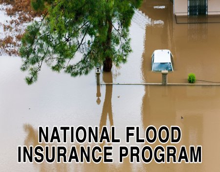 national flood insurance program