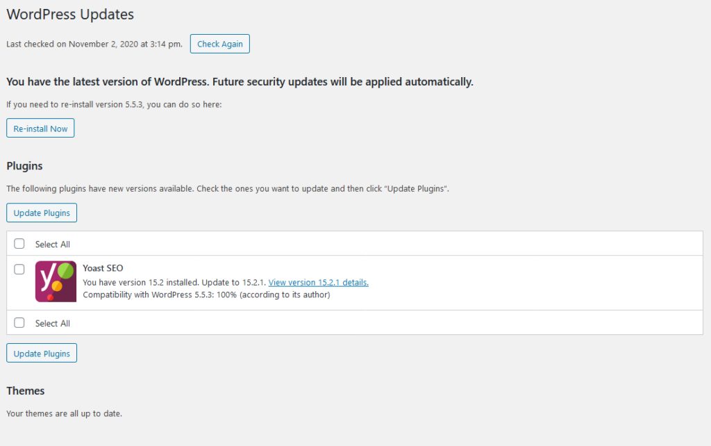 WordPress Automatic Updates: How to Get the Most Out of Them