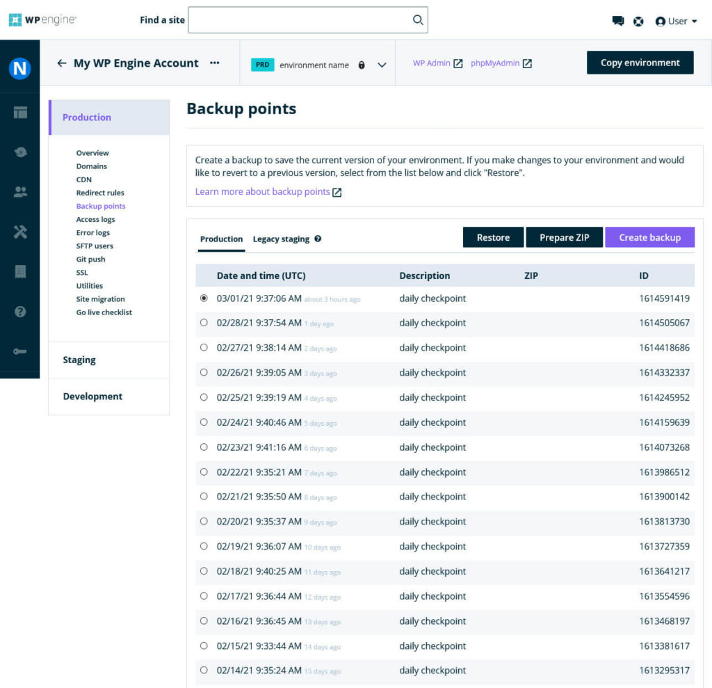 WordPress Managed Hosting vs Unmanaged: 11 Key Differences